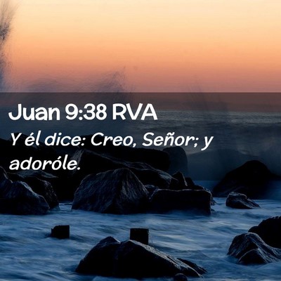 Picture 02 - Juan 9:38 RVA - Y él dice: Creo, Señor; y - Bible Verse Picture
