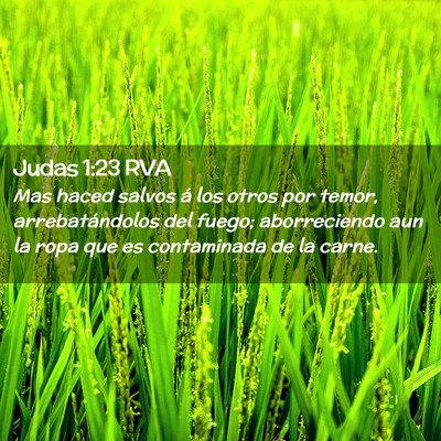 Picture 02 - Judas 1:23 RVA - Mas haced salvos á los otros por temor, - Bible Verse Picture