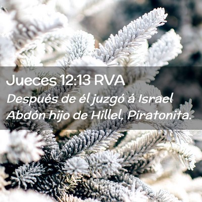 Picture 02 - Jueces 12:13 RVA - Después de él juzgó á Israel Abdón hijo de - Bible Verse Picture