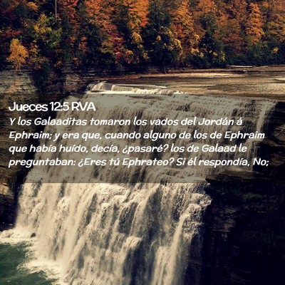 Picture 02 - Jueces 12:5 RVA - Y los Galaaditas tomaron los vados del Jordán á - Bible Verse Picture