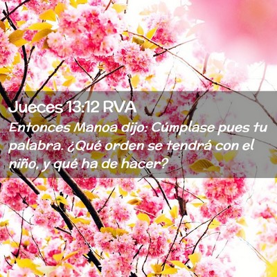 Picture 02 - Jueces 13:12 RVA - Entonces Manoa dijo: Cúmplase pues tu palabra. - Bible Verse Picture