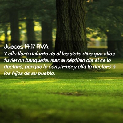 Picture 02 - Jueces 14:17 RVA - Y ella lloró delante de él los siete días que - Bible Verse Picture