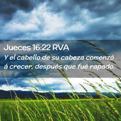 Picture 02 - Jueces 16:22 RVA - Y el cabello de su cabeza comenzó á crecer, - Bible Verse Picture