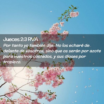 Picture 02 - Jueces 2:3 RVA - Por tanto yo también dije: No los echaré de - Bible Verse Picture