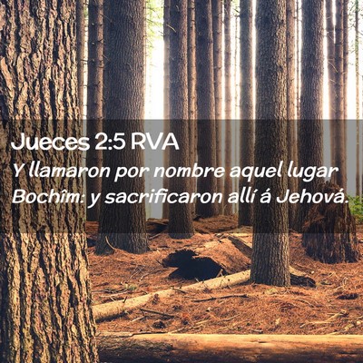 Picture 02 - Jueces 2:5 RVA - Y llamaron por nombre aquel lugar Bochîm: y - Bible Verse Picture