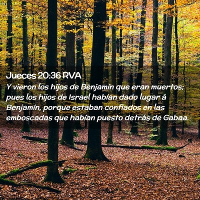 Picture 02 - Jueces 20:36 RVA - Y vieron los hijos de Benjamín que eran muertos; - Bible Verse Picture
