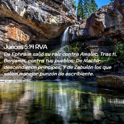 Picture 02 - Jueces 5:14 RVA - De Ephraim salió su raíz contra Amalec, Tras - Bible Verse Picture