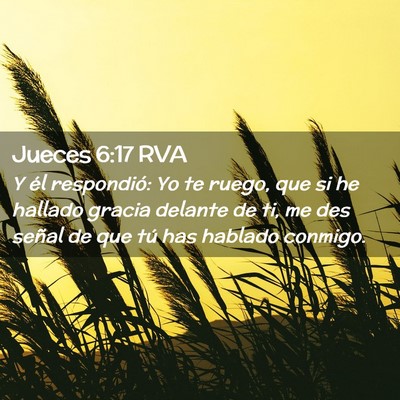 Picture 02 - Jueces 6:17 RVA - Y él respondió: Yo te ruego, que si he hallado - Bible Verse Picture