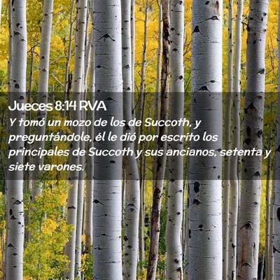 Picture 02 - Jueces 8:14 RVA - Y tomó un mozo de los de Succoth, y - Bible Verse Picture
