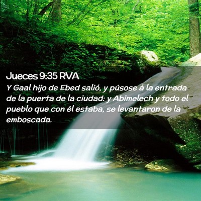 Picture 02 - Jueces 9:35 RVA - Y Gaal hijo de Ebed salió, y púsose á la - Bible Verse Picture