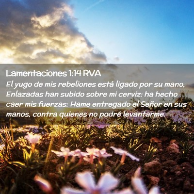 Picture 02 - Lamentaciones 1:14 RVA - El yugo de mis rebeliones está ligado por su - Bible Verse Picture