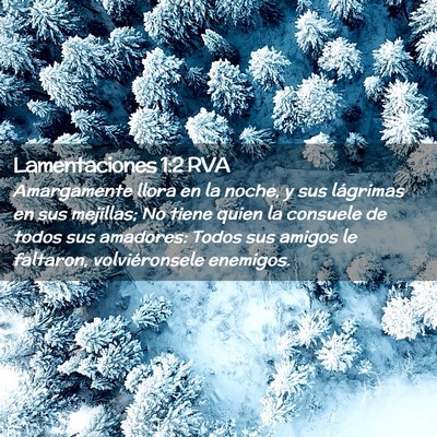 Picture 02 - Lamentaciones 1:2 RVA - Amargamente llora en la noche, y sus lágrimas en - Bible Verse Picture