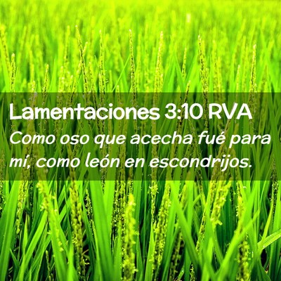 Picture 02 - Lamentaciones 3:10 RVA - Como oso que acecha fué para mí, como león en - Bible Verse Picture
