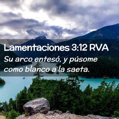 Picture 02 - Lamentaciones 3:12 RVA - Su arco entesó, y púsome como blanco a la - Bible Verse Picture