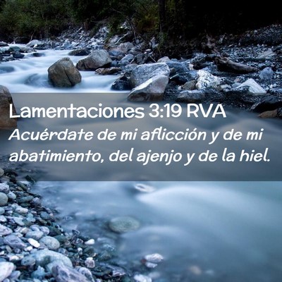 Picture 02 - Lamentaciones 3:19 RVA - Acuérdate de mi aflicción y de mi abatimiento, - Bible Verse Picture