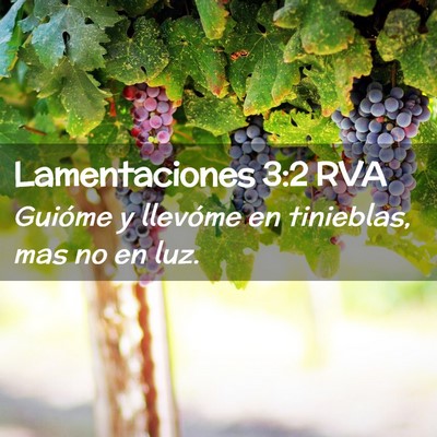 Picture 02 - Lamentaciones 3:2 RVA - Guióme y llevóme en tinieblas, mas no en - Bible Verse Picture