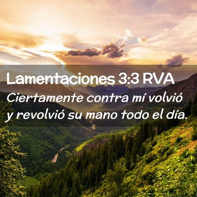 Picture 02 - Lamentaciones 3:3 RVA - Ciertamente contra mí volvió y revolvió su - Bible Verse Picture