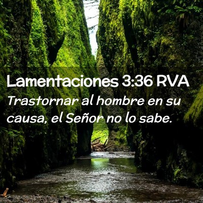 Picture 02 - Lamentaciones 3:36 RVA - Trastornar al hombre en su causa, el Señor no lo - Bible Verse Picture