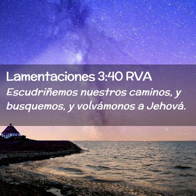 Picture 02 - Lamentaciones 3:40 RVA - Escudriñemos nuestros caminos, y busquemos, y - Bible Verse Picture