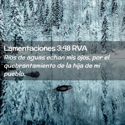 Picture 02 - Lamentaciones 3:48 RVA - Ríos de aguas echan mis ojos, por el - Bible Verse Picture