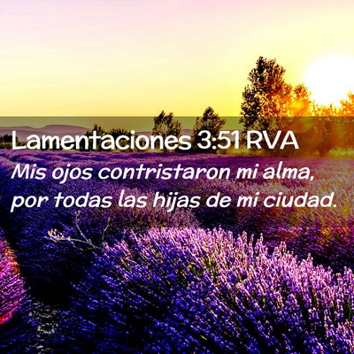 Picture 02 - Lamentaciones 3:51 RVA - Mis ojos contristaron mi alma, por todas las - Bible Verse Picture