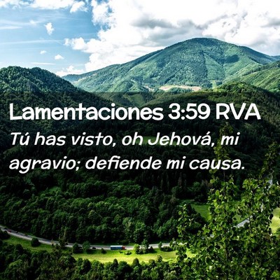 Picture 02 - Lamentaciones 3:59 RVA - Tú has visto, oh Jehová, mi agravio; defiende - Bible Verse Picture