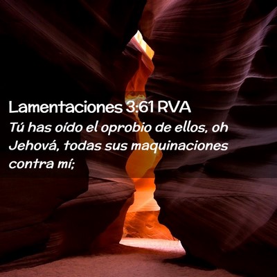 Picture 02 - Lamentaciones 3:61 RVA - Tú has oído el oprobio de ellos, oh Jehová, - Bible Verse Picture