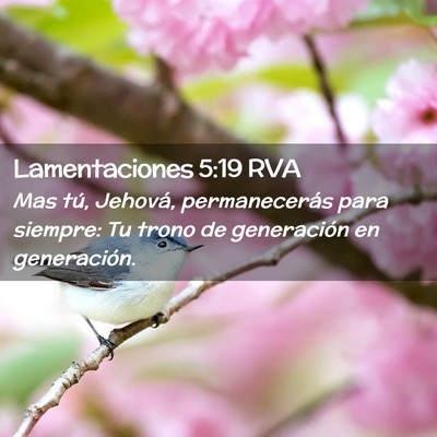 Picture 02 - Lamentaciones 5:19 RVA - Mas tú, Jehová, permanecerás para siempre: Tu - Bible Verse Picture