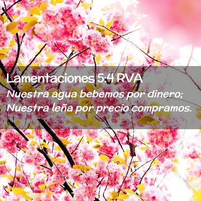 Picture 02 - Lamentaciones 5:4 RVA - Nuestra agua bebemos por dinero; Nuestra leña - Bible Verse Picture