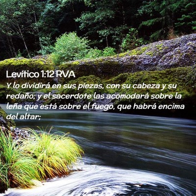 Picture 02 - Levítico 1:12 RVA - Y lo dividirá en sus piezas, con su cabeza y su - Bible Verse Picture