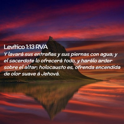 Picture 02 - Levítico 1:13 RVA - Y lavará sus entrañas y sus piernas con agua; y - Bible Verse Picture