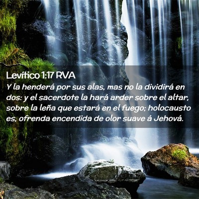 Picture 02 - Levítico 1:17 RVA - Y la henderá por sus alas, mas no la dividirá - Bible Verse Picture