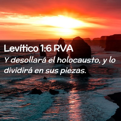 Picture 02 - Levítico 1:6 RVA - Y desollará el holocausto, y lo dividirá en sus - Bible Verse Picture