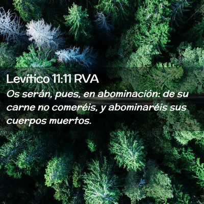 Picture 02 - Levítico 11:11 RVA - Os serán, pues, en abominación: de su carne no - Bible Verse Picture