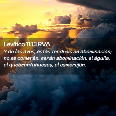 Picture 02 - Levítico 11:13 RVA - Y de las aves, éstas tendréis en abominación; - Bible Verse Picture