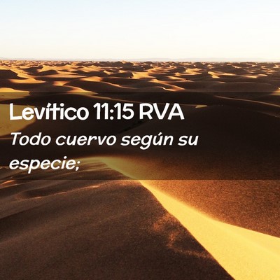 Picture 02 - Levítico 11:15 RVA - Todo cuervo según su - Bible Verse Picture