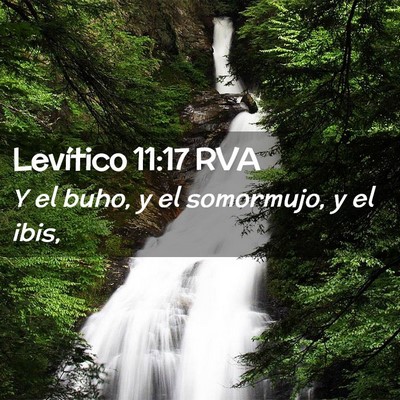 Picture 02 - Levítico 11:17 RVA - Y el buho, y el somormujo, y el - Bible Verse Picture