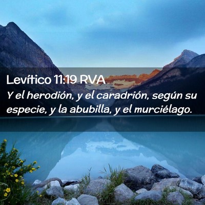 Picture 02 - Levítico 11:19 RVA - Y el herodión, y el caradrión, según su - Bible Verse Picture