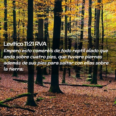 Picture 02 - Levítico 11:21 RVA - Empero esto comeréis de todo reptil alado que - Bible Verse Picture