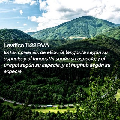 Picture 02 - Levítico 11:22 RVA - Estos comeréis de ellos: la langosta según su - Bible Verse Picture