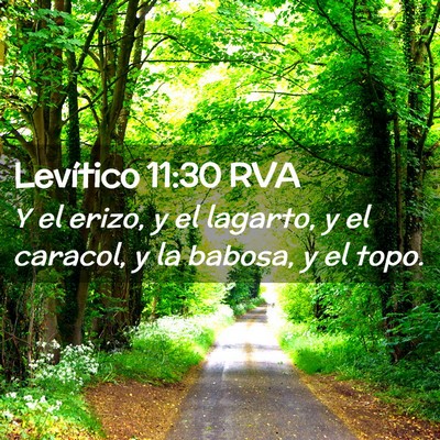 Picture 02 - Levítico 11:30 RVA - Y el erizo, y el lagarto, y el caracol, y la - Bible Verse Picture