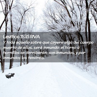 Picture 02 - Levítico 11:35 RVA - Y todo aquello sobre que cayere algo del cuerpo - Bible Verse Picture