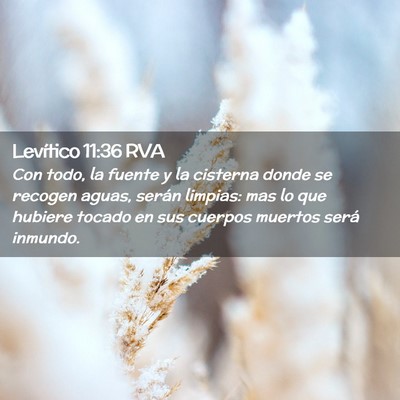 Picture 02 - Levítico 11:36 RVA - Con todo, la fuente y la cisterna donde se - Bible Verse Picture