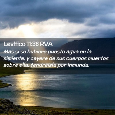 Picture 02 - Levítico 11:38 RVA - Mas si se hubiere puesto agua en la simiente, y - Bible Verse Picture