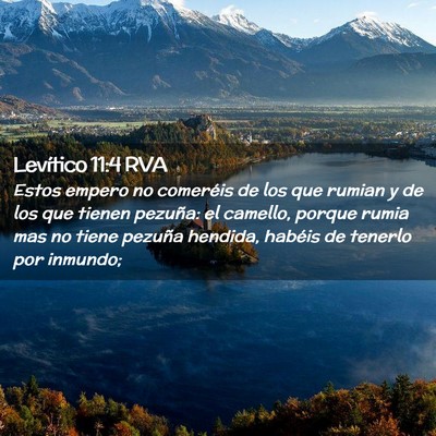 Picture 02 - Levítico 11:4 RVA - Estos empero no comeréis de los que rumian y de - Bible Verse Picture