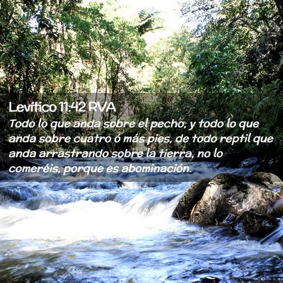 Picture 02 - Levítico 11:42 RVA - Todo lo que anda sobre el pecho, y todo lo que - Bible Verse Picture