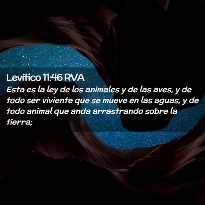 Picture 02 - Levítico 11:46 RVA - Esta es la ley de los animales y de las aves, y - Bible Verse Picture