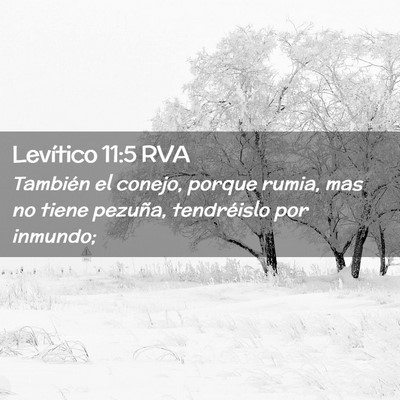 Picture 02 - Levítico 11:5 RVA - También el conejo, porque rumia, mas no tiene - Bible Verse Picture