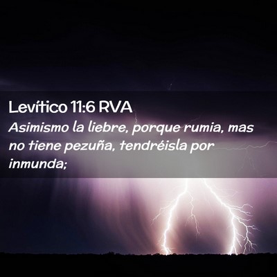 Picture 02 - Levítico 11:6 RVA - Asimismo la liebre, porque rumia, mas no tiene - Bible Verse Picture