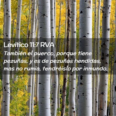 Picture 02 - Levítico 11:7 RVA - También el puerco, porque tiene pezuñas, y es - Bible Verse Picture